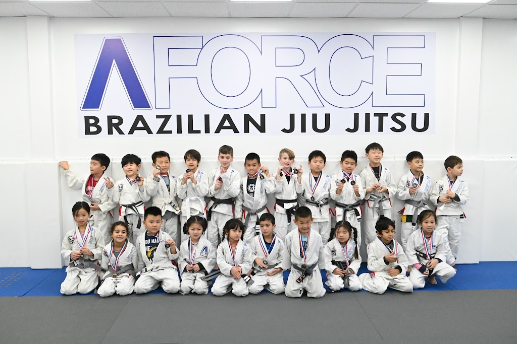 A-Force Brazilian Jiu Jitsu Academy Manhasset | 81 E Shore Rd, Manhasset, NY 11030 | Phone: (516) 344-7812