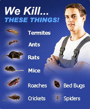 Lords Pest Control Inc | 7-28 149th St, Whitestone, NY 11357 | Phone: (800) 834-7378