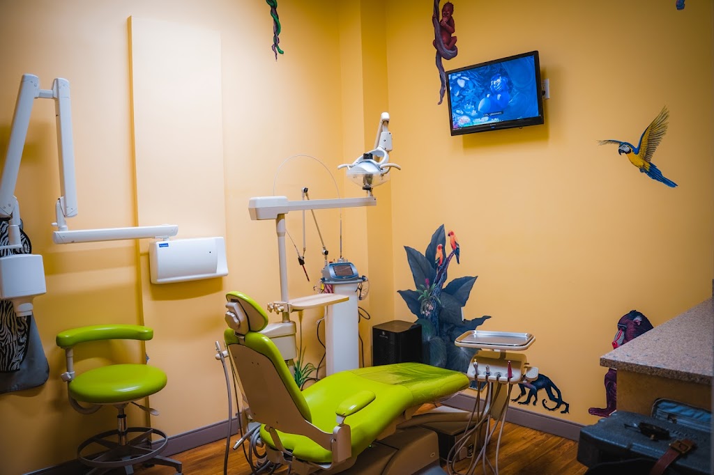 Dr. Mindy Homer, DDS | 62 2nd Pl, Brooklyn, NY 11231 | Phone: (718) 797-5437