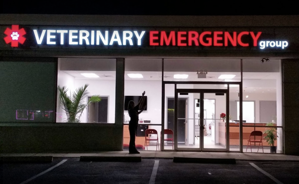 Animal Dermatology Clinic | 37 Hunt Rd, Orangeburg, NY 10962 | Phone: (845) 247-5786