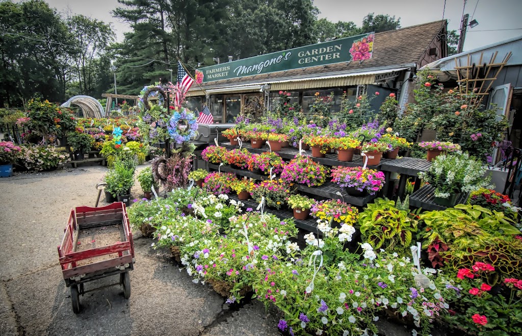 Mangone’s Garden Center | 1427 E Boston Post Rd, Mamaroneck, NY 10543 | Phone: (914) 777-1800