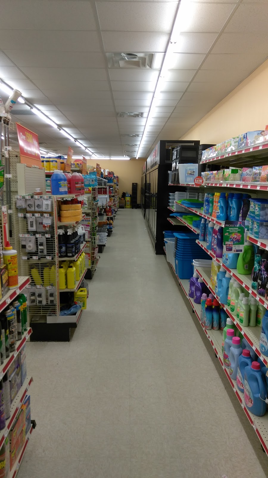 Family Dollar | 888 Jamaica Ave, Brooklyn, NY 11208 | Phone: (347) 563-9207