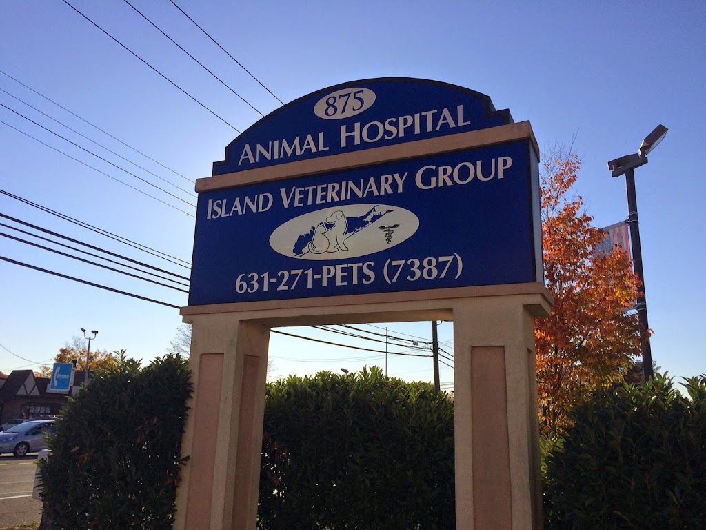 Island Veterinary Group | 875 E Jericho Turnpike, Huntington Station, NY 11746 | Phone: (631) 271-7387