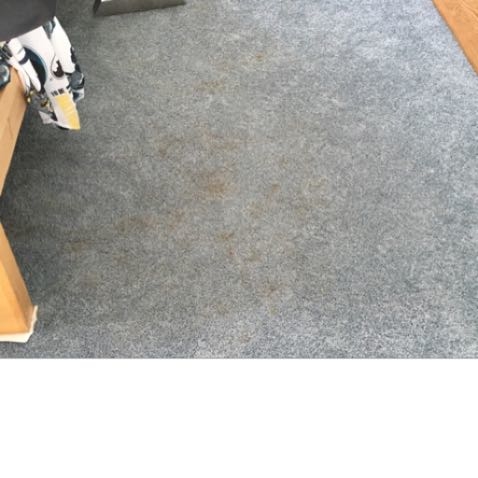 B/P Carpet & Upholstery Cleaning Inc | 33 Carleton Ave, Mt Vernon, NY 10550 | Phone: (914) 667-4880