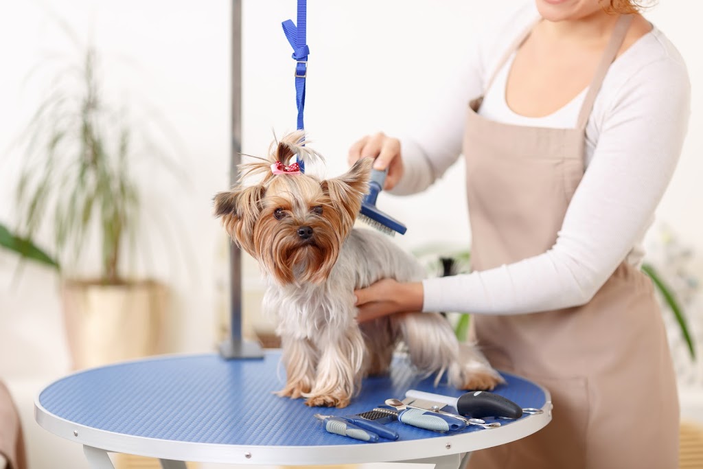 Fluffy Angel Pet Grooming & Spa | 371 Long Beach Rd, Island Park, NY 11558 | Phone: (516) 608-9613