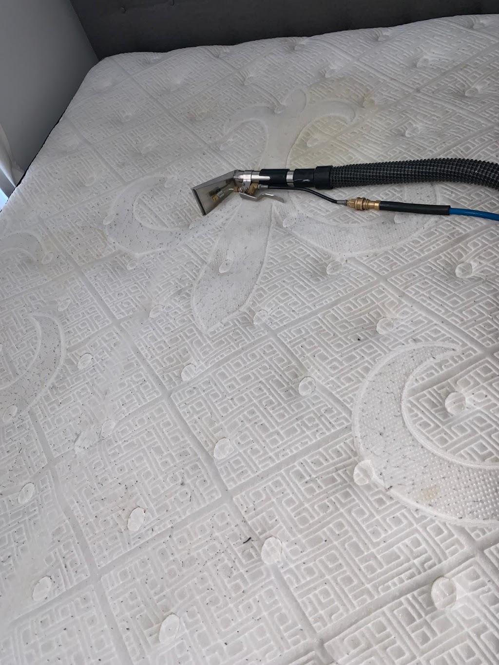 Queens Carpets Cleaning | 147 Beach 61st St, Queens, NY 11692 | Phone: (917) 540-0187