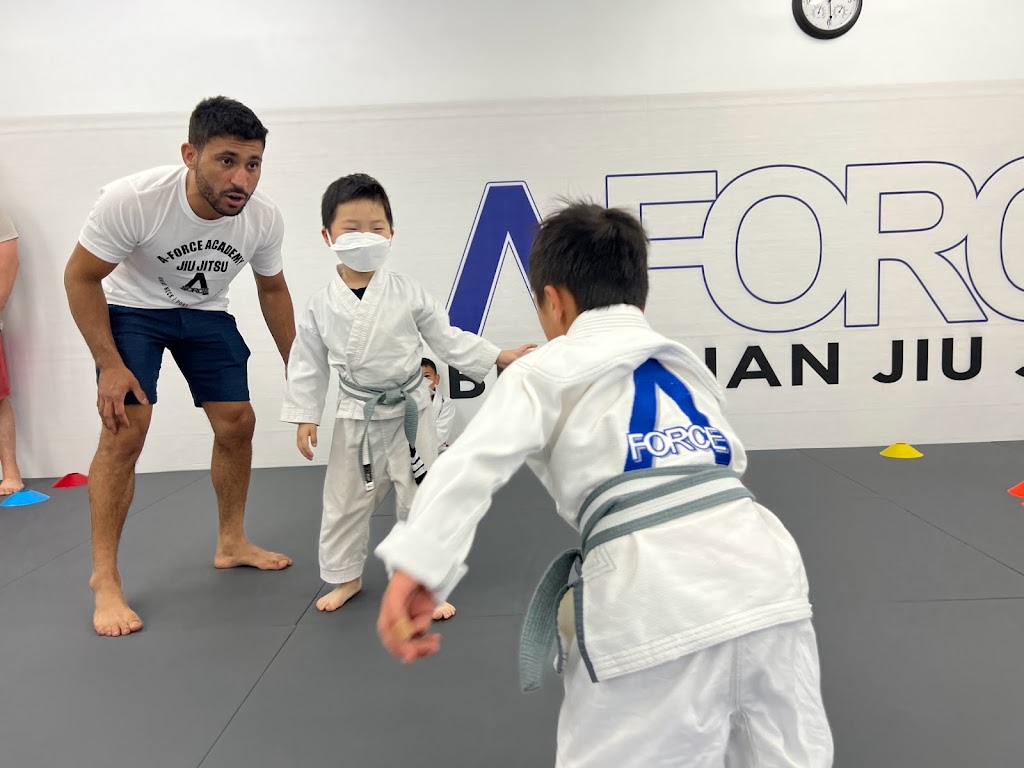 A-Force Brazilian Jiu Jitsu Academy Syosset | 235 Robbins Ln #2, Syosset, NY 11791 | Phone: (516) 344-7812