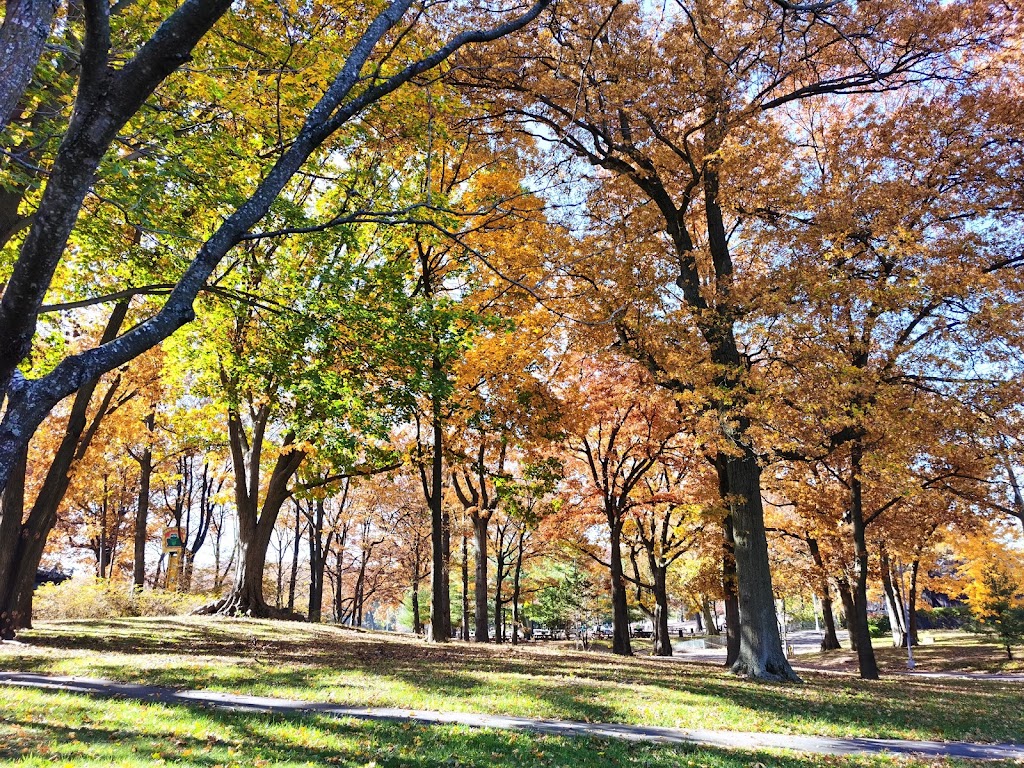 Forest Park Visitor Center | 83-87C Woodhaven Blvd, Woodhaven, NY 11421 | Phone: (718) 846-2731