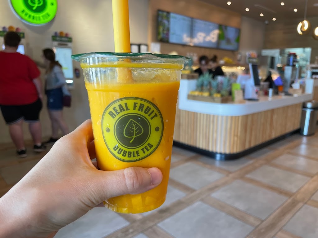 Real Fruit Bubble Tea | 450 Hackensack Ave, Hackensack, NJ 07601 | Phone: (888) 896-1829