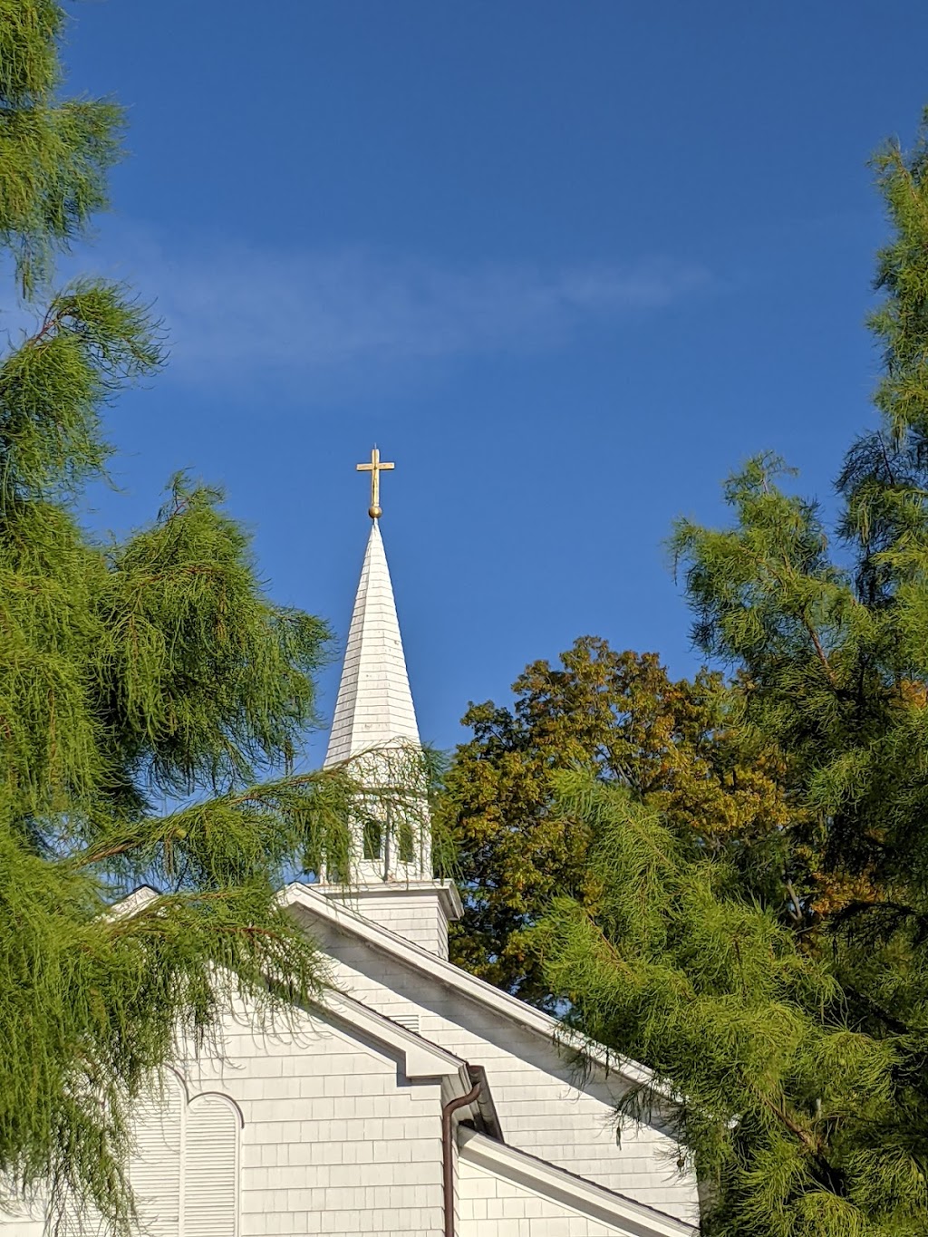 Cold Spring Harbor Fish Hatchery & Aquarium | 1660 NY-25A, Cold Spring Harbor, NY 11724 | Phone: (516) 692-6768