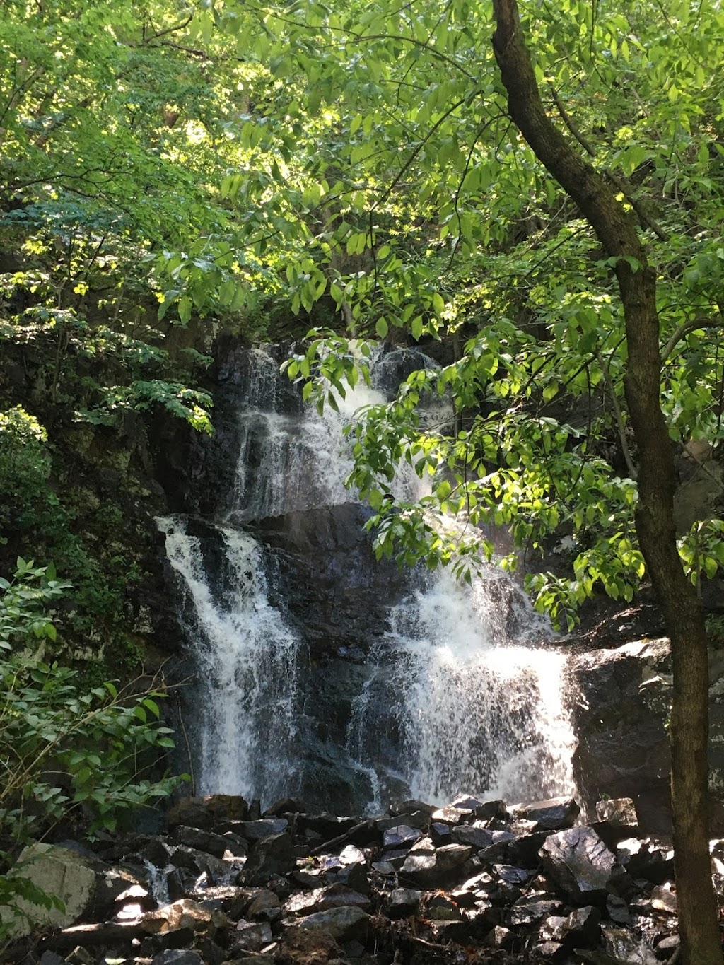 Green Brook Waterfall | Henry Hudson Dr, Alpine, NJ 07620 | Phone: (201) 784-0484