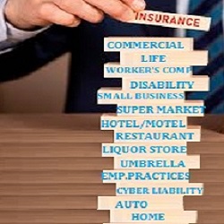 Prism Insurance Brokerage Inc. | 208 Marcus Ave, Manhasset Hills, NY 11040 | Phone: (347) 418-1957