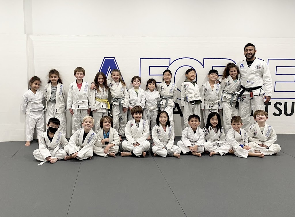 A-Force Brazilian Jiu Jitsu Academy Manhasset | 81 E Shore Rd, Manhasset, NY 11030 | Phone: (516) 344-7812