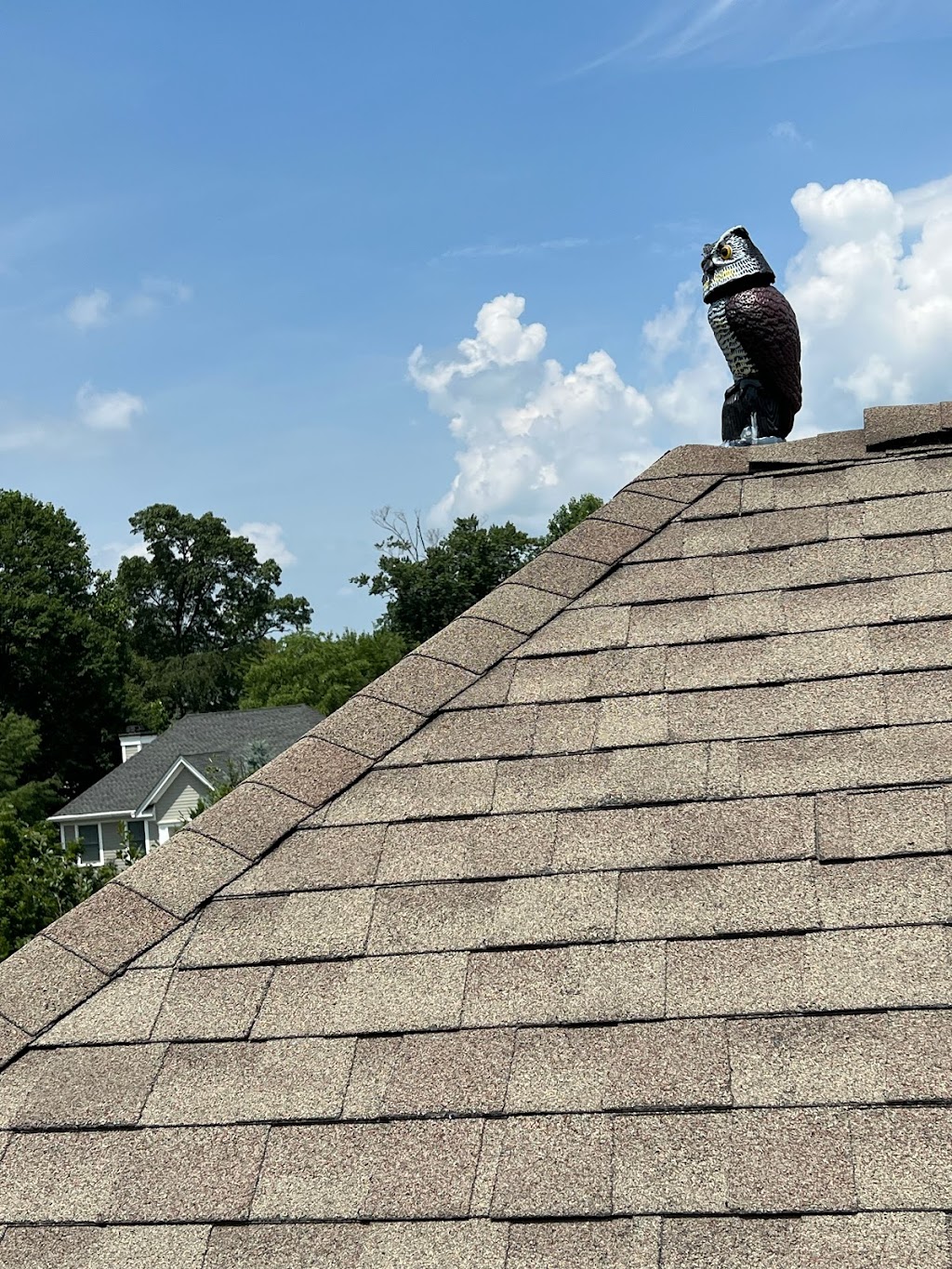 Elite Roof Services | 470 Grand Ave, Leonia, NJ 07605 | Phone: (201) 800-5005