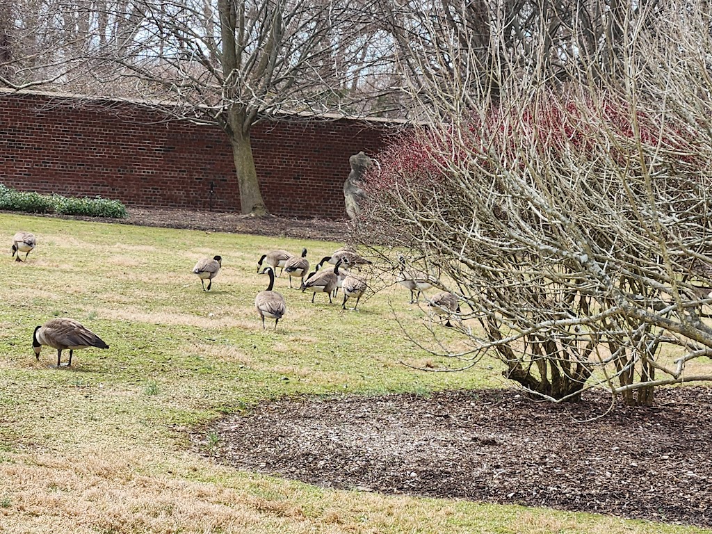 Walled Garden - Caumsett State Historic Park Preserve | 25 Lloyd Harbor Rd, Lloyd Harbor, NY 11743 | Phone: (631) 423-1770