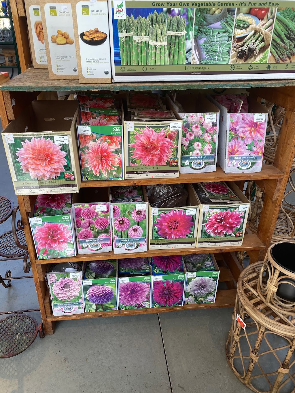 Sam Bridge Nursery & Greenhouses | 437 North Street, Greenwich, CT 06830 | Phone: (203) 869-3418