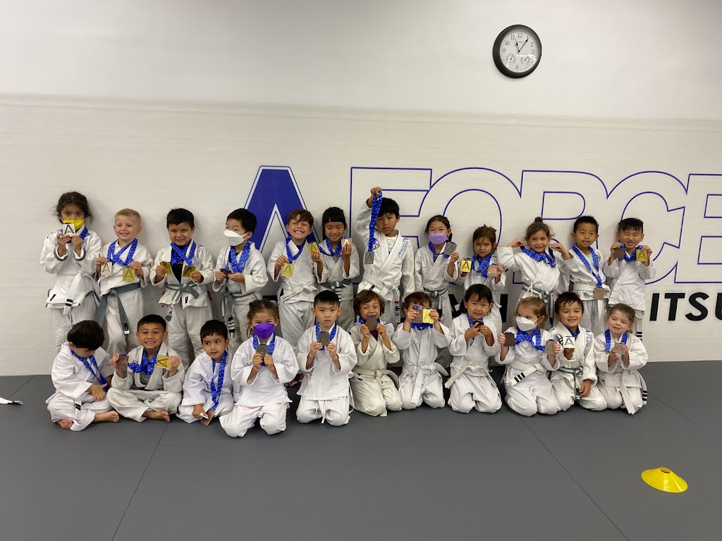 A-Force Brazilian Jiu Jitsu Academy Syosset | 235 Robbins Ln #2, Syosset, NY 11791 | Phone: (516) 344-7812