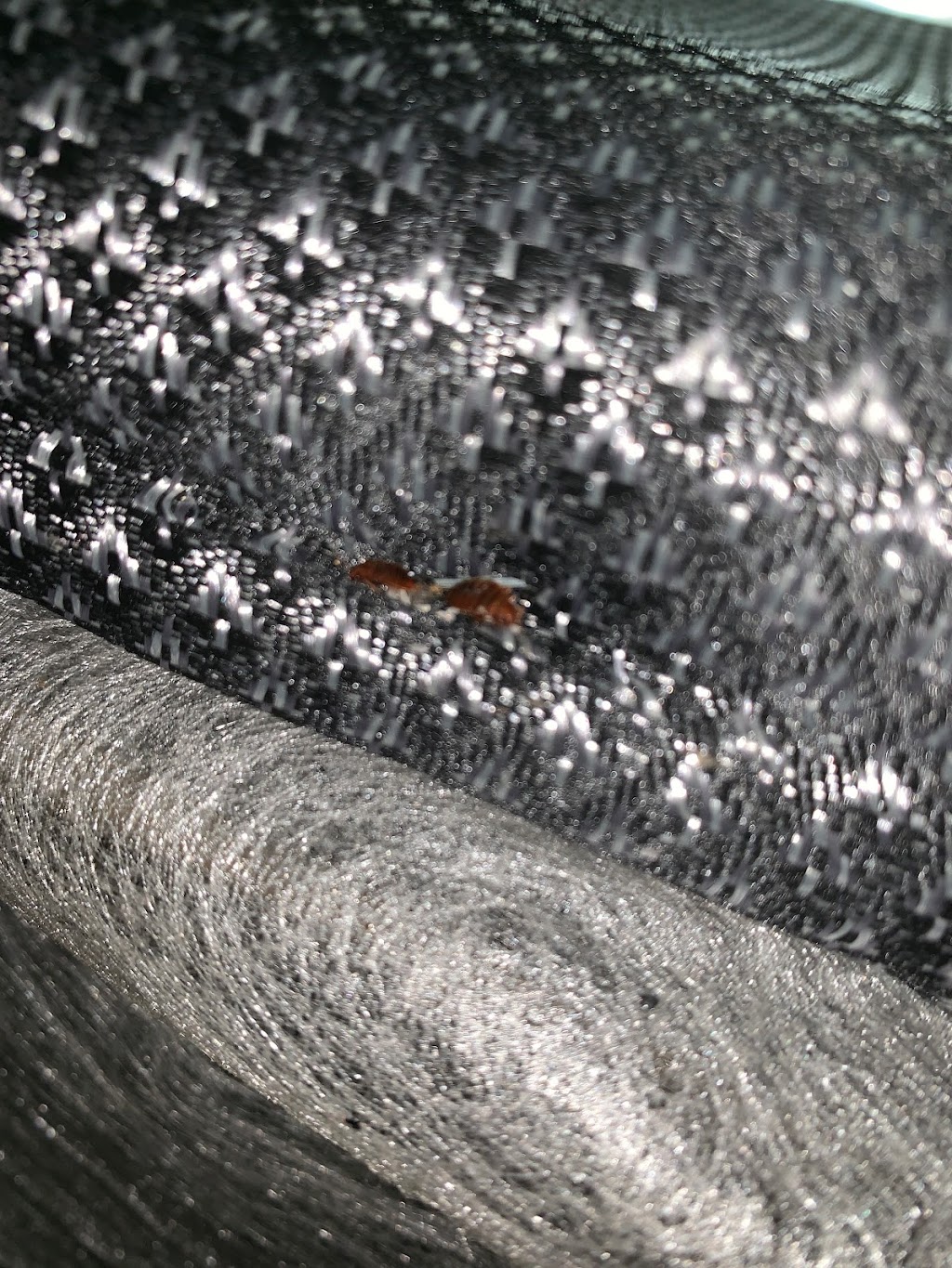 Gotcha Bed Bug Inspectors | 7 Camp Ave, Merrick, NY 11566 | Phone: (516) 340-1003