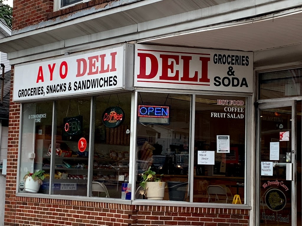 AYO Deli Convenience Store Inc | 85 Old Tappan Rd, Tappan, NY 10983 | Phone: (845) 848-2570