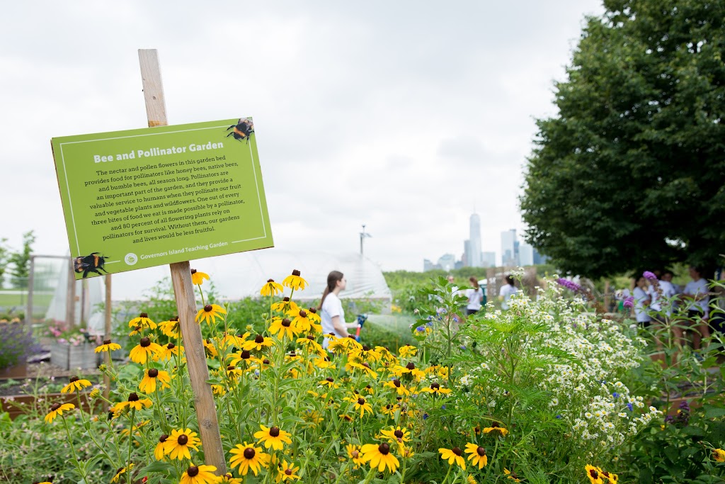 Governors Island Teaching Garden | 778 Enright Rd, New York, NY 10004 | Phone: (212) 788-7900