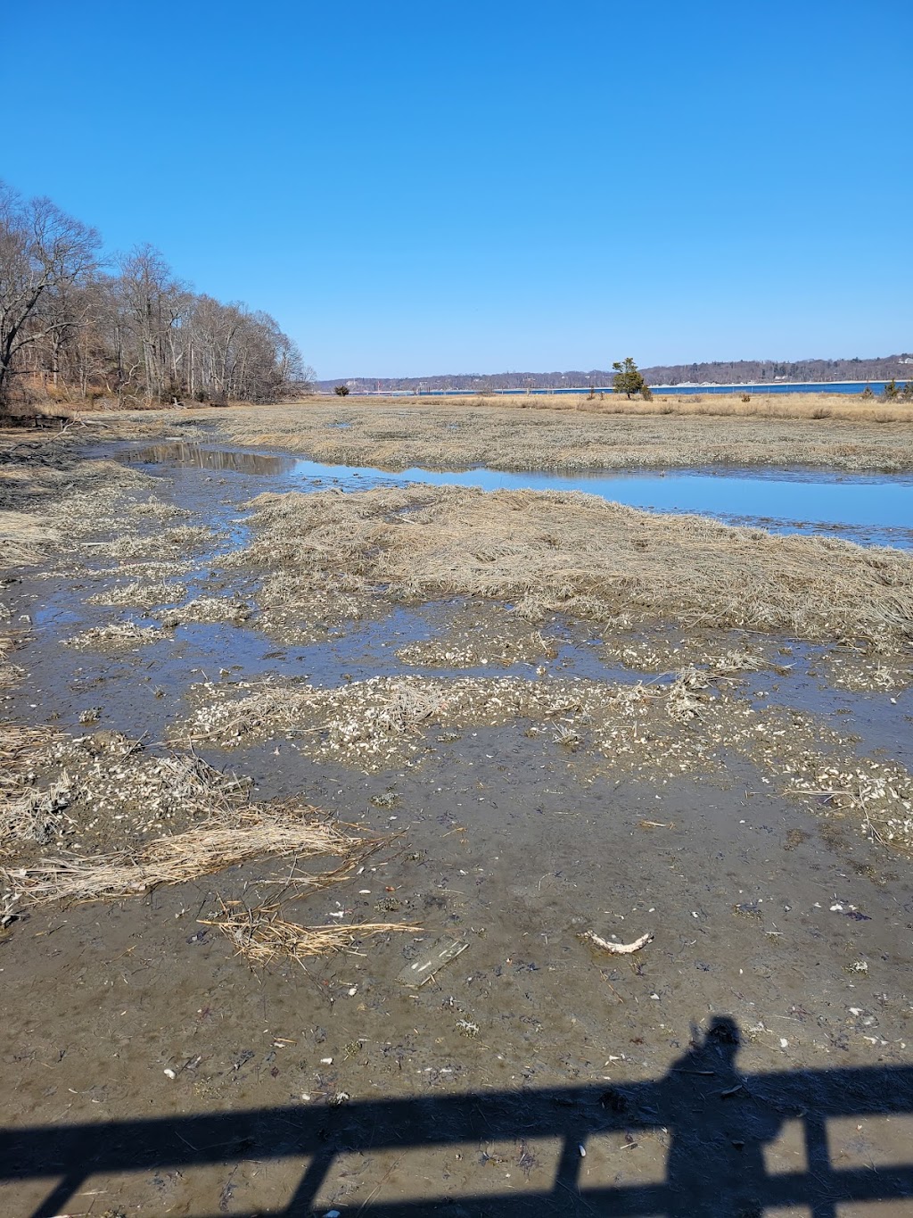 Nature Trail | 12 Sagamore Hill Rd, Oyster Bay, NY 11771 | Phone: (516) 922-4788