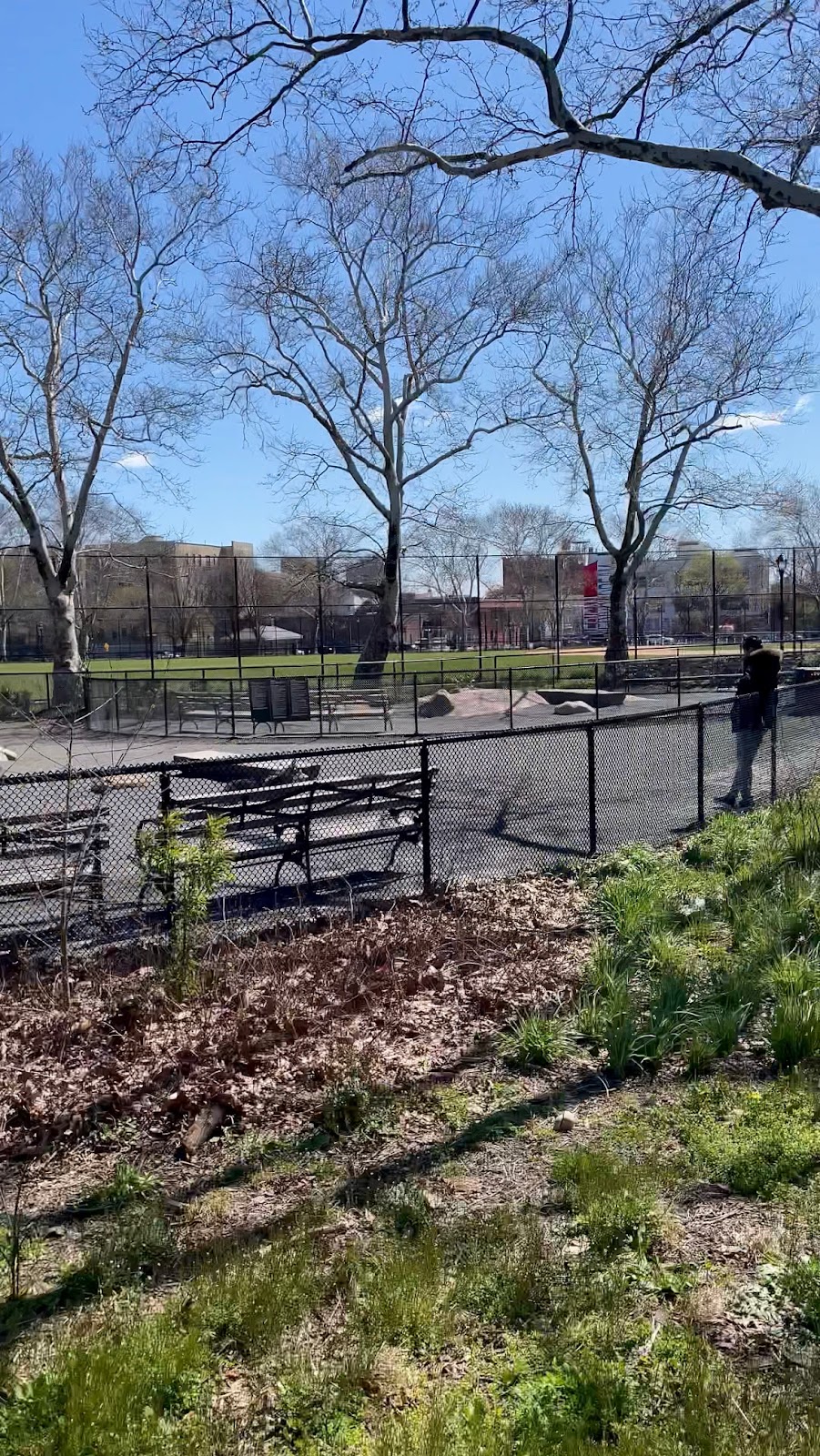 St. Marys Dog Run | 387 Jackson Ave, Bronx, NY 10455 | Phone: (718) 402-5155