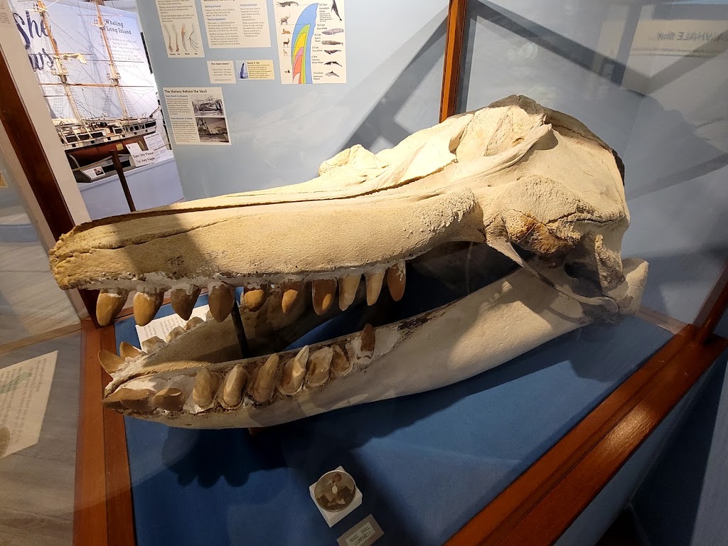 The Whaling Museum & Education Center of Cold Spring Harbor | 301 Main St, Cold Spring Harbor, NY 11724 | Phone: (631) 367-3418