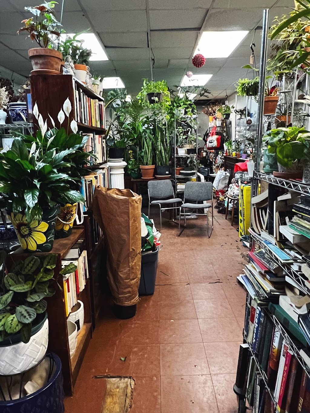 Passion Florist | 823 Nostrand Ave., Brooklyn, NY 11225 | Phone: (718) 221-5030