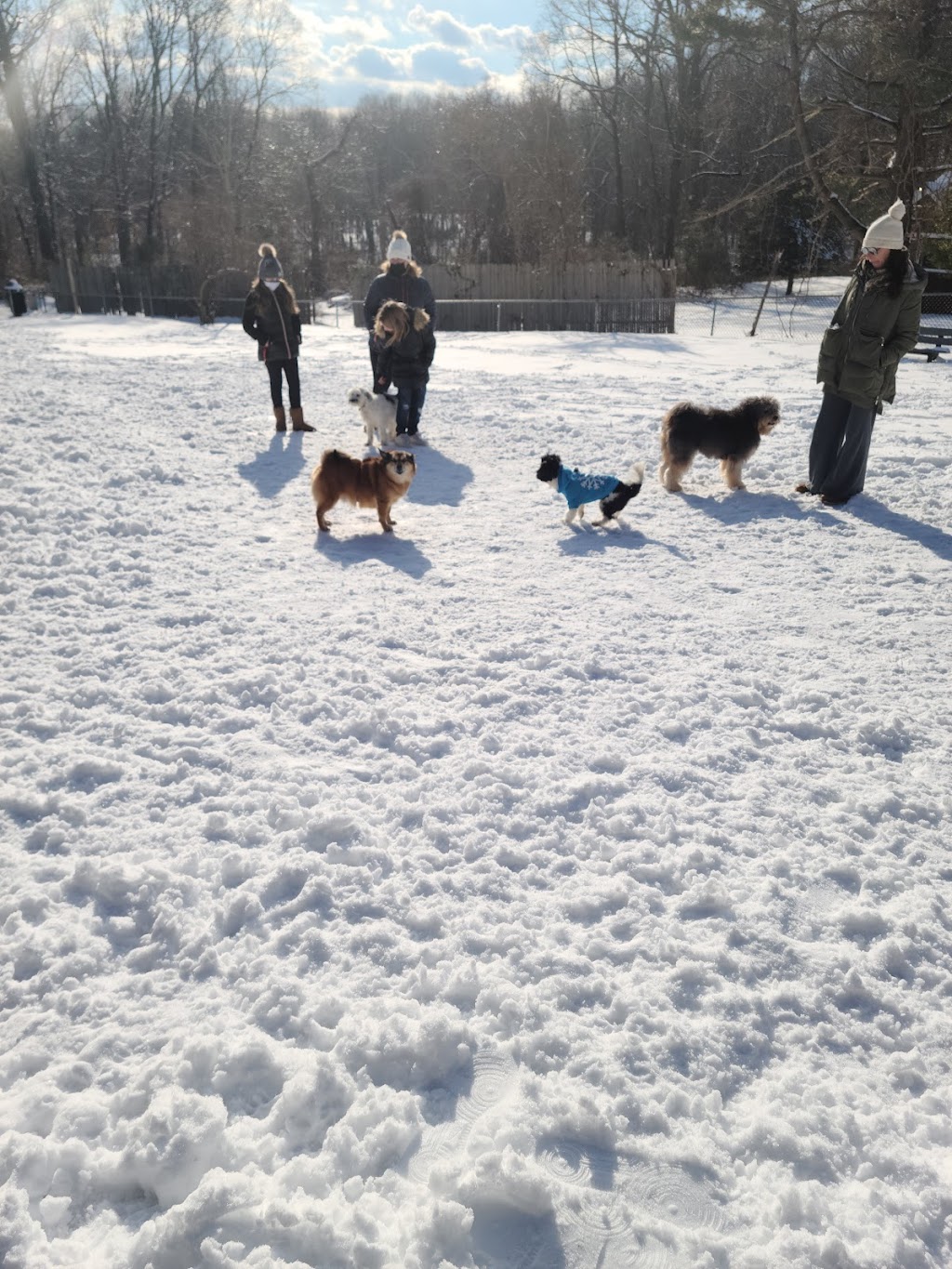 West Hills Small Dog Run | Highhold Dr, Huntington, NY 11743 | Phone: (631) 854-4423