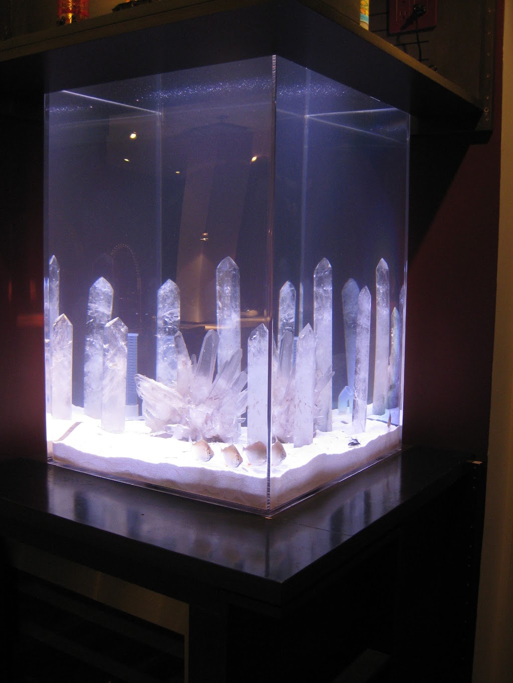 Aquarius Aquariums | 214 Riverside Dr #511, New York, NY 10025 | Phone: (212) 749-4970