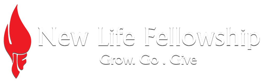 NLF USA | 20 Cambridge Ave, Yonkers, NY 10707 | Phone: (201) 873-2055