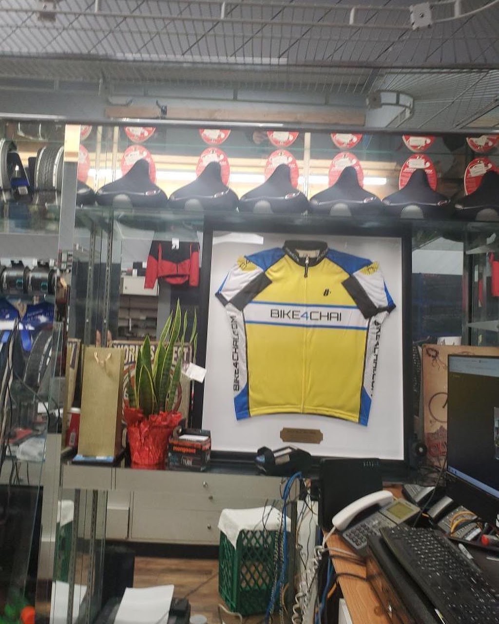 South Shore Bicycle and Fitness | 1311 Broadway, Hewlett, NY 11557 | Phone: (516) 374-0606