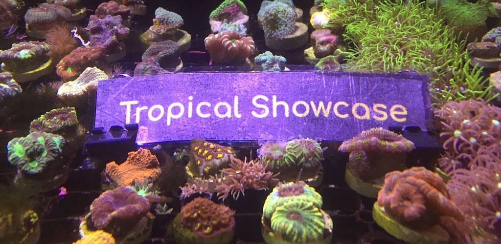 Tropical Showcase | 372 W Old Country Rd, Hicksville, NY 11801 | Phone: (516) 433-0988