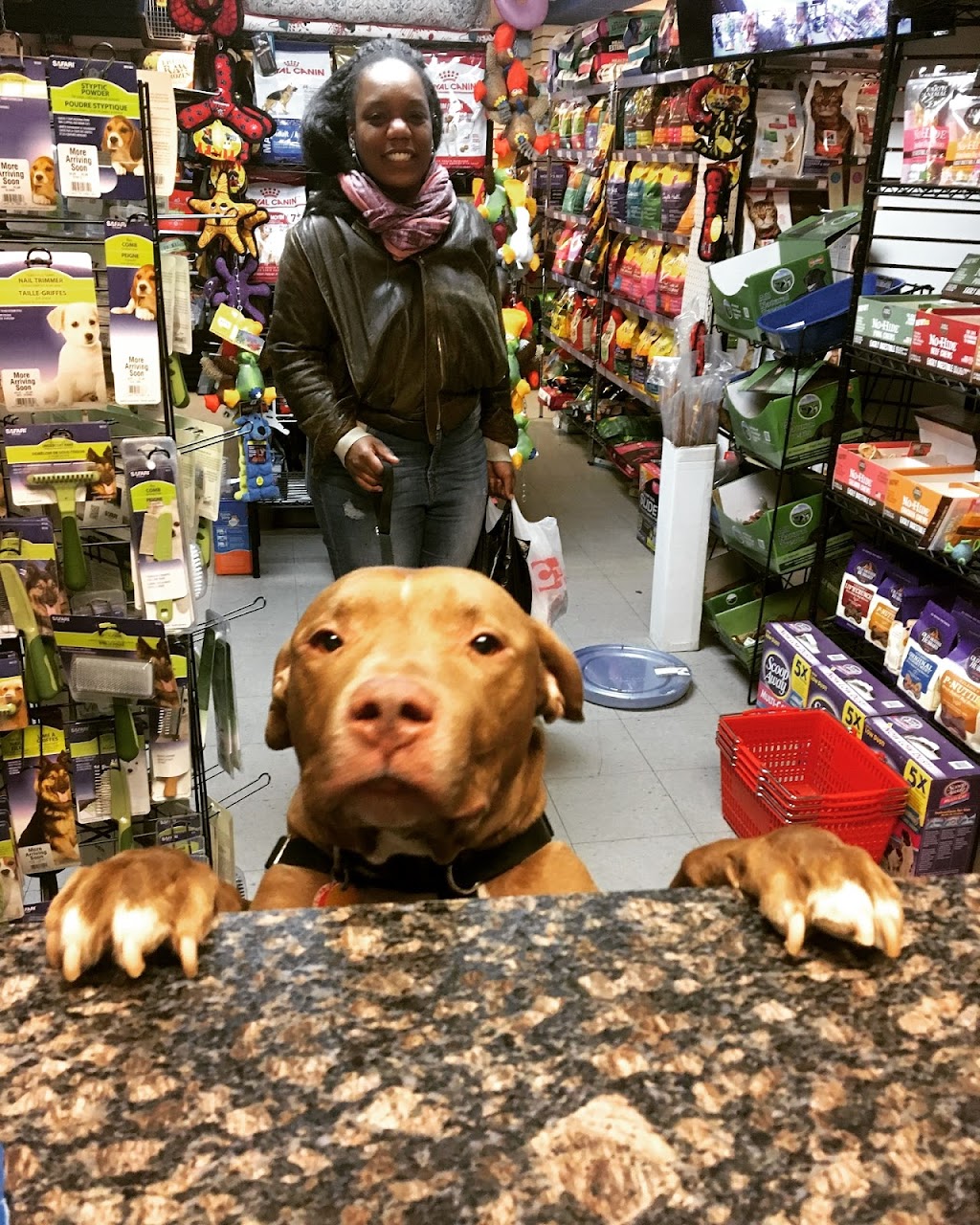 Pets on Broadway NYC | 600 W 149th St, New York, NY 10031 | Phone: (917) 409-0465