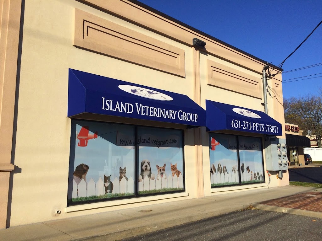 Island Veterinary Group | 875 E Jericho Turnpike, Huntington Station, NY 11746 | Phone: (631) 271-7387