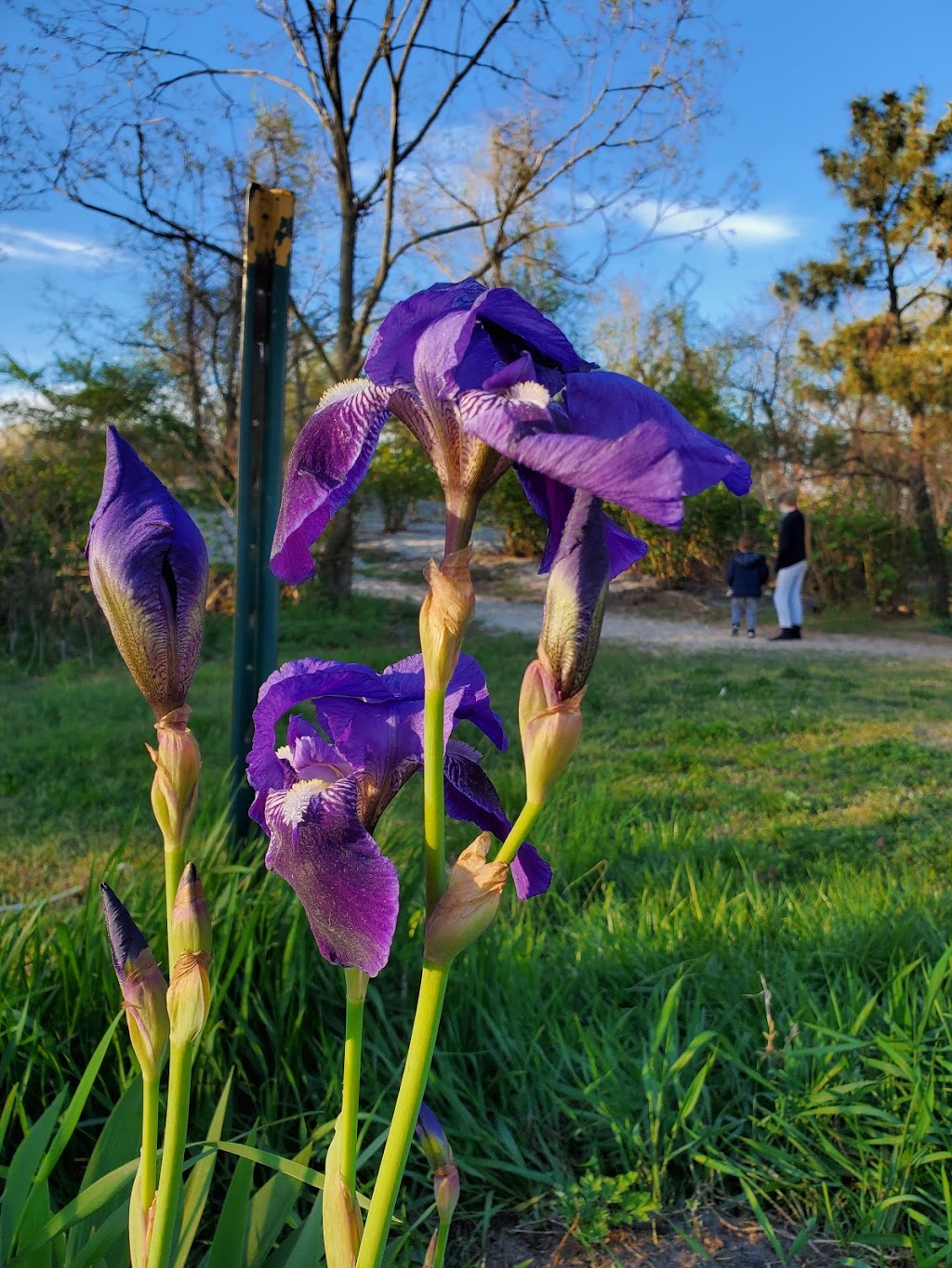 Coney Island Creek Park | Bayview Ave &, W 37th St, Brooklyn, NY 11224 | Phone: (212) 639-9675