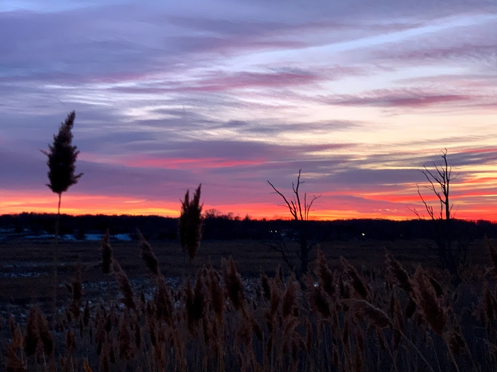 Jerome A. Ambro Memorial Wetland Preserve | Fort Salonga, NY 11768 | Phone: (631) 351-3000