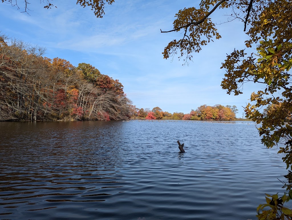 Caumsett State Historic Park Preserve | 25 Lloyd Harbor Rd, Lloyd Harbor, NY 11743 | Phone: (631) 423-1770