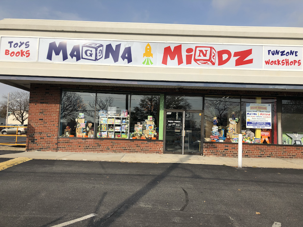 Magna Mindz | 380 W Old Country Rd, Hicksville, NY 11802 | Phone: (516) 226-3336