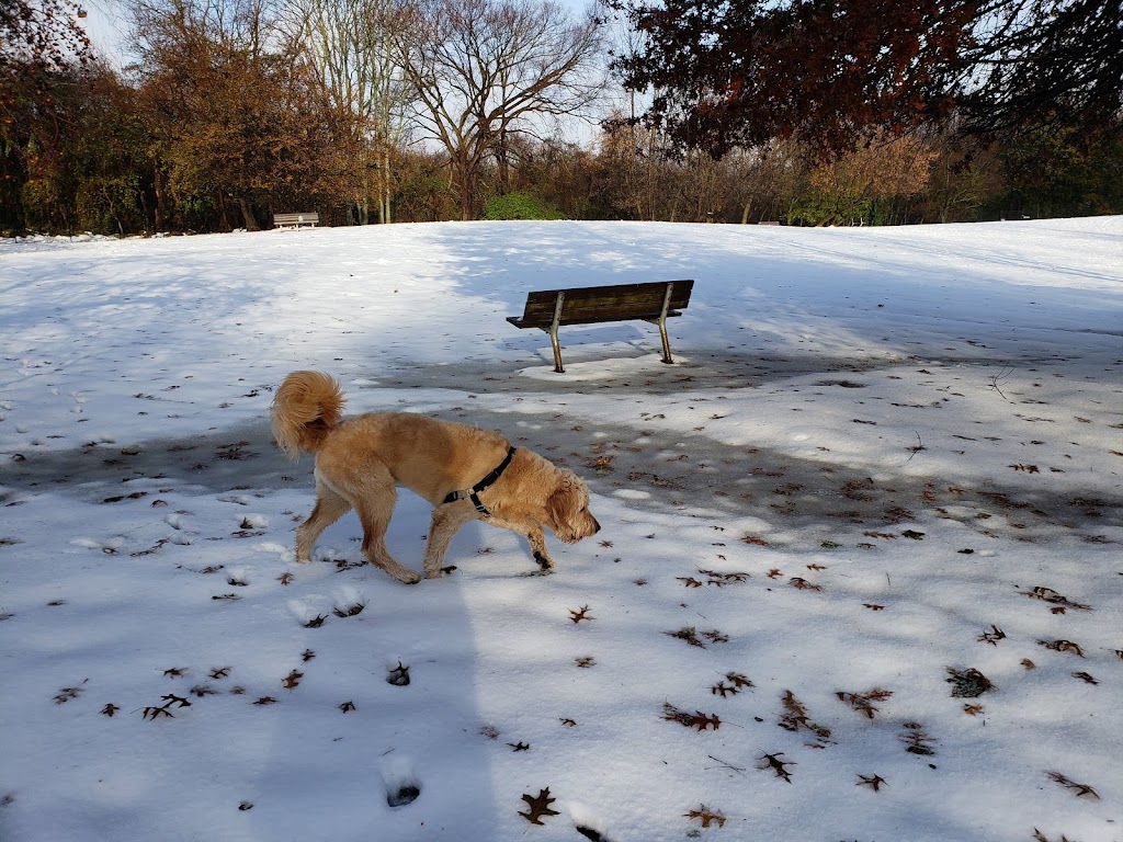 Paws Place Dog Park | 300 Broadfield Rd, New Rochelle, NY 10804 | Phone: (914) 654-2087