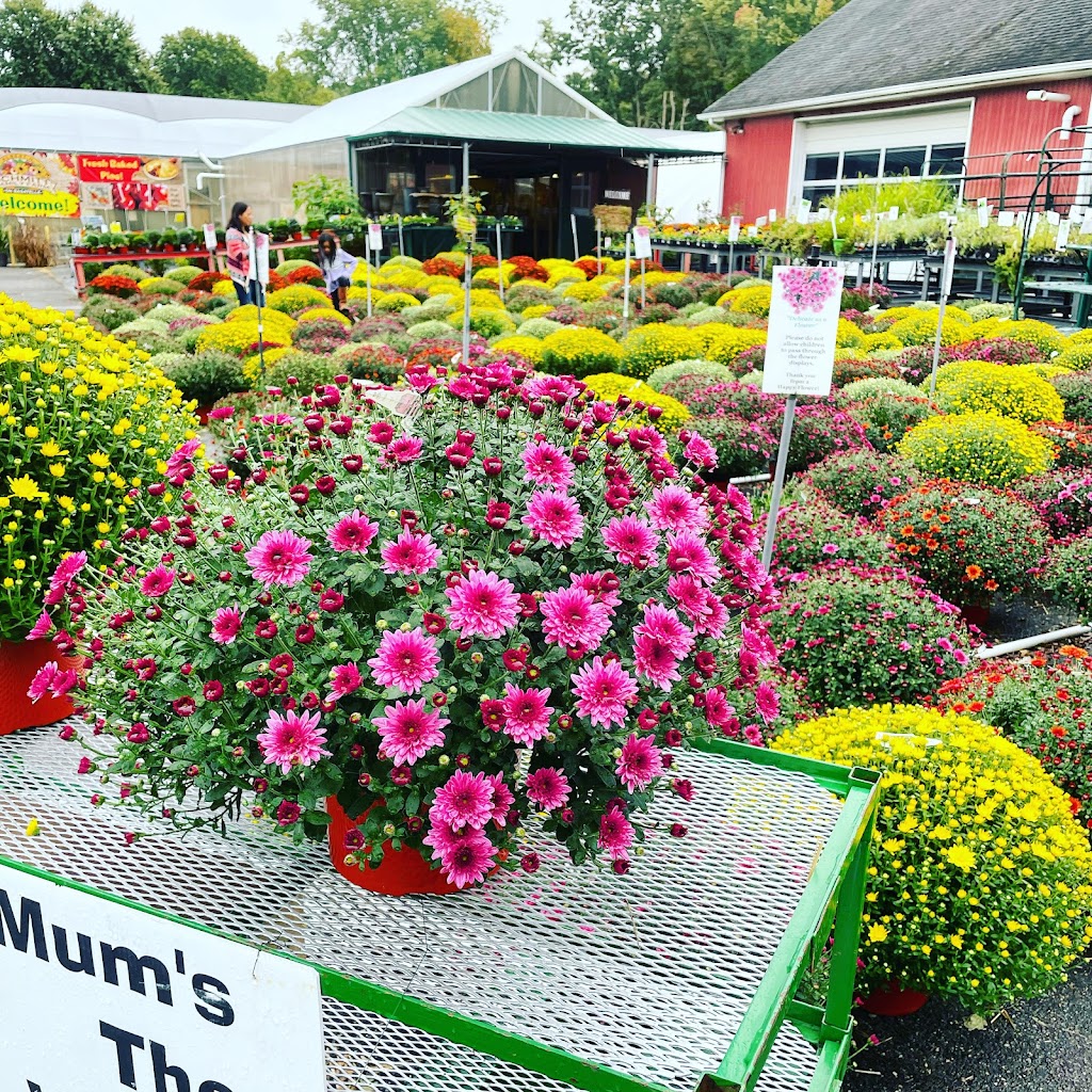 Albert H. Schmitt Family Farms on Bagatelle! | 6 Bagatelle Rd, Dix Hills, NY 11746 | Phone: (631) 549-3276