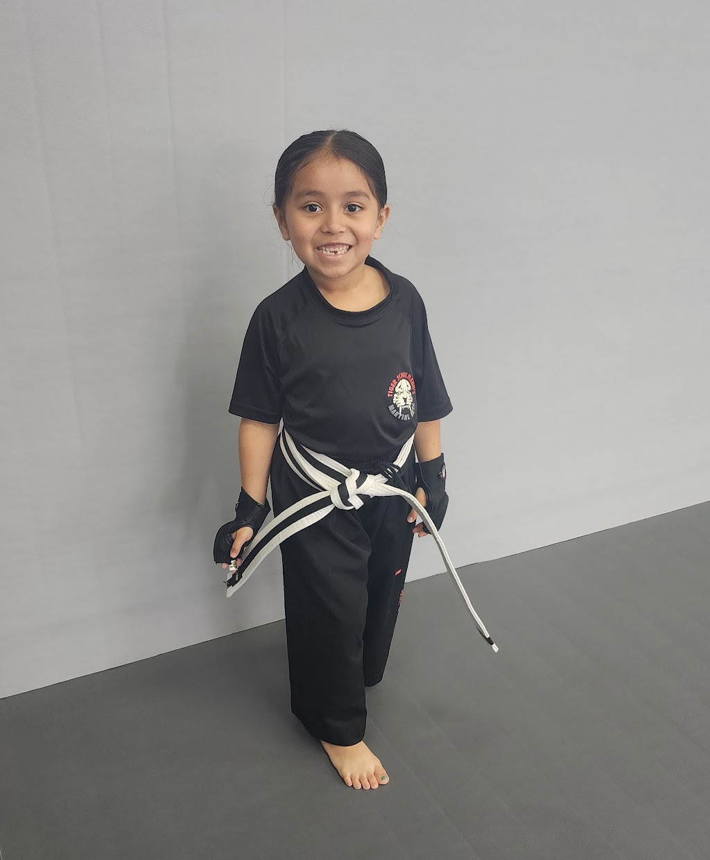 Tiger Schulmanns Martial Arts (Merrick, NY) | 2128 Merrick Ave, Merrick, NY 11566 | Phone: (516) 200-4365