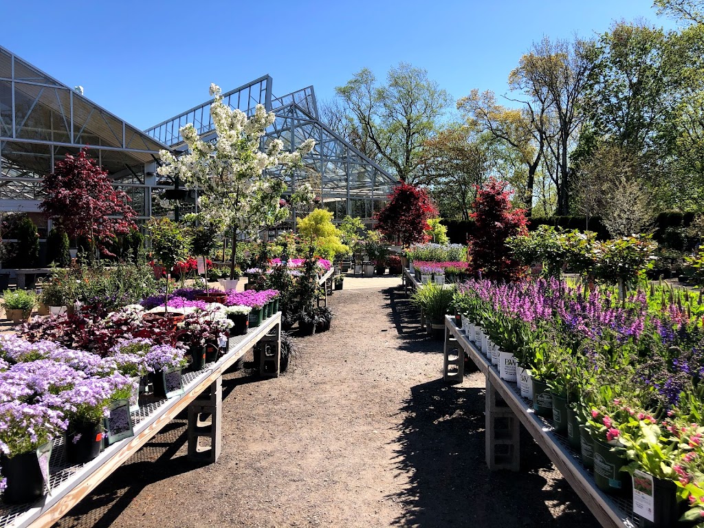 Sam Bridge Nursery & Greenhouses | 437 North Street, Greenwich, CT 06830 | Phone: (203) 869-3418