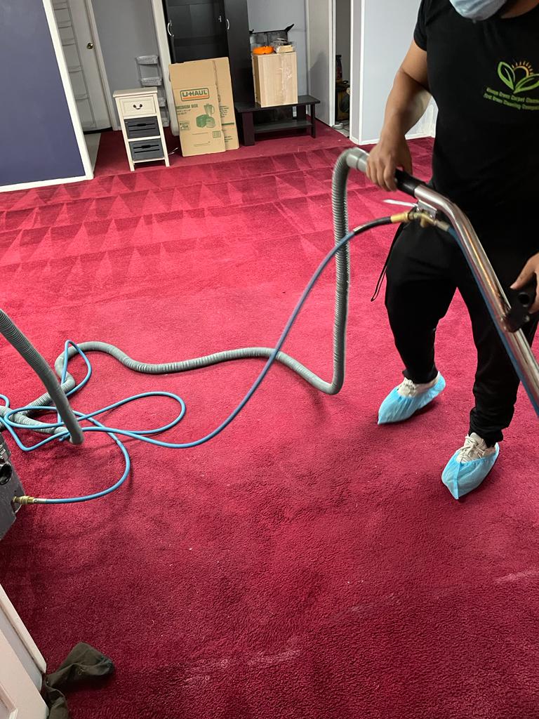 Always Green Carpet Cleaner NYC | 73-25 69th Pl, Queens, NY 11385 | Phone: (347) 897-9939