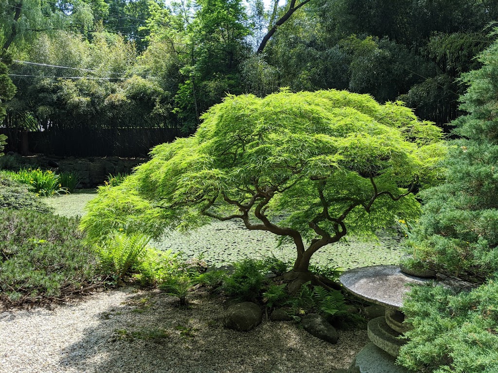 John P. Humes Japanese Stroll Garden | 347 Oyster Bay Road, Mill Neck, NY 11765 | Phone: (516) 676-4486