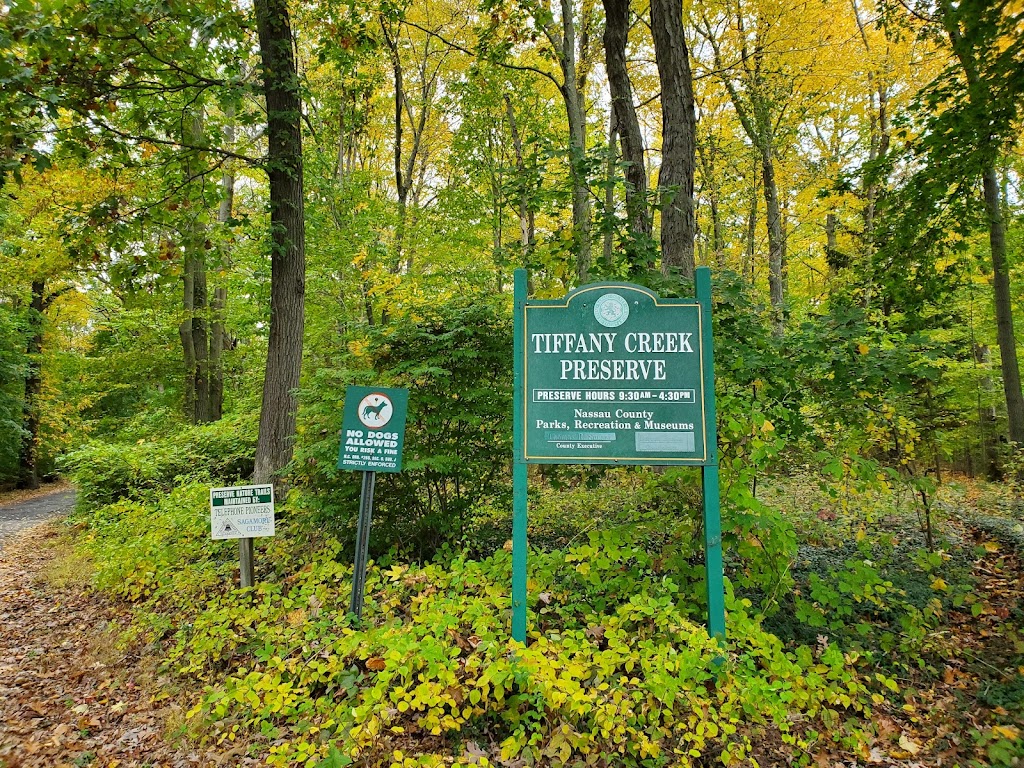 Tiffany Creek Preserve | Oyster Bay, NY 11771 | Phone: (516) 571-8500