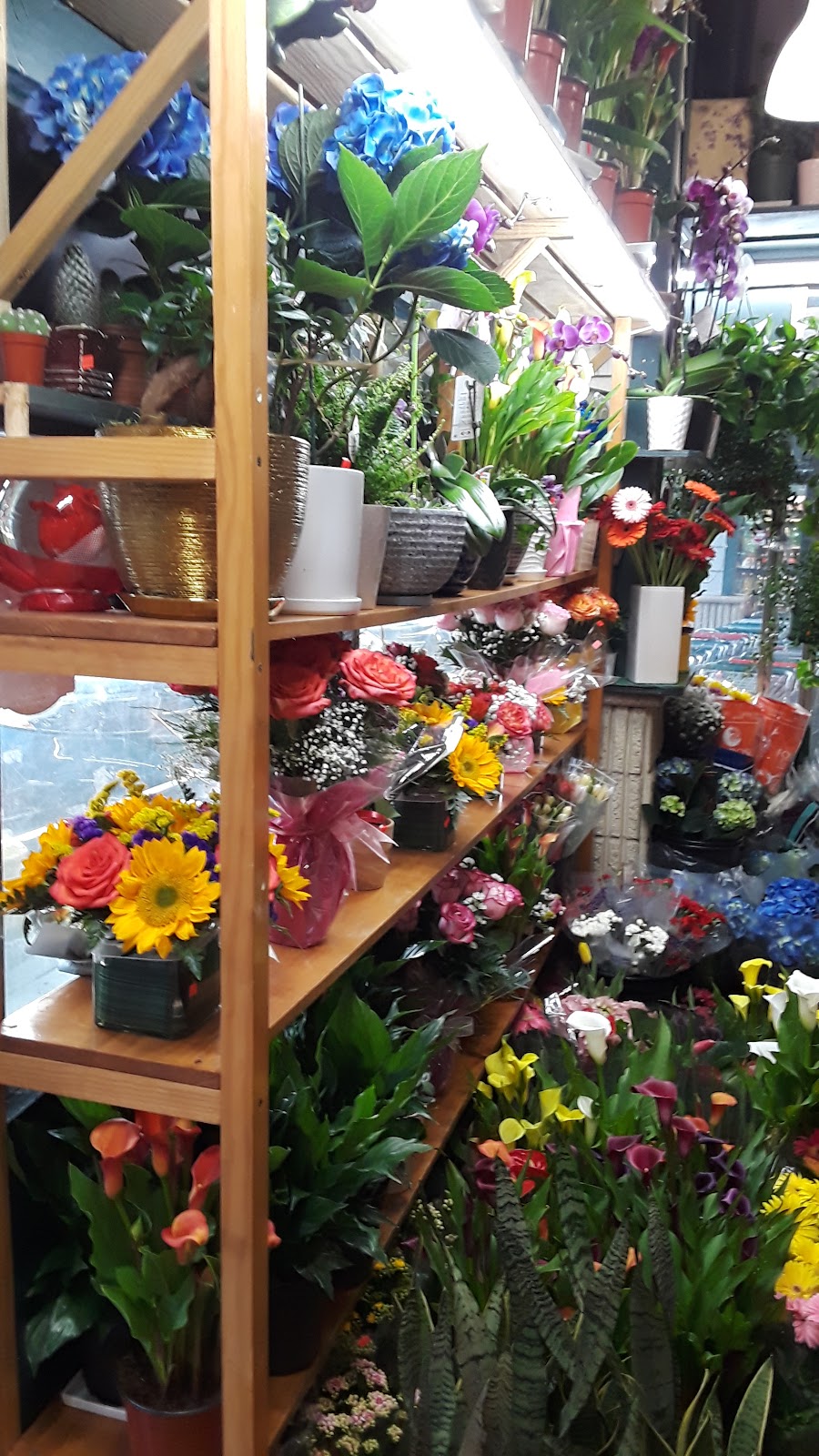 J. Fresh Flowers Garden | 35-15 Bell Blvd, Queens, NY 11361 | Phone: (332) 220-8381