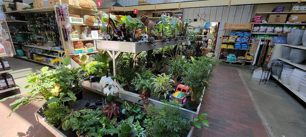 Starkie Bros Garden Center | 721 Main St, Farmingdale, NY 11735 | Phone: (516) 293-7148