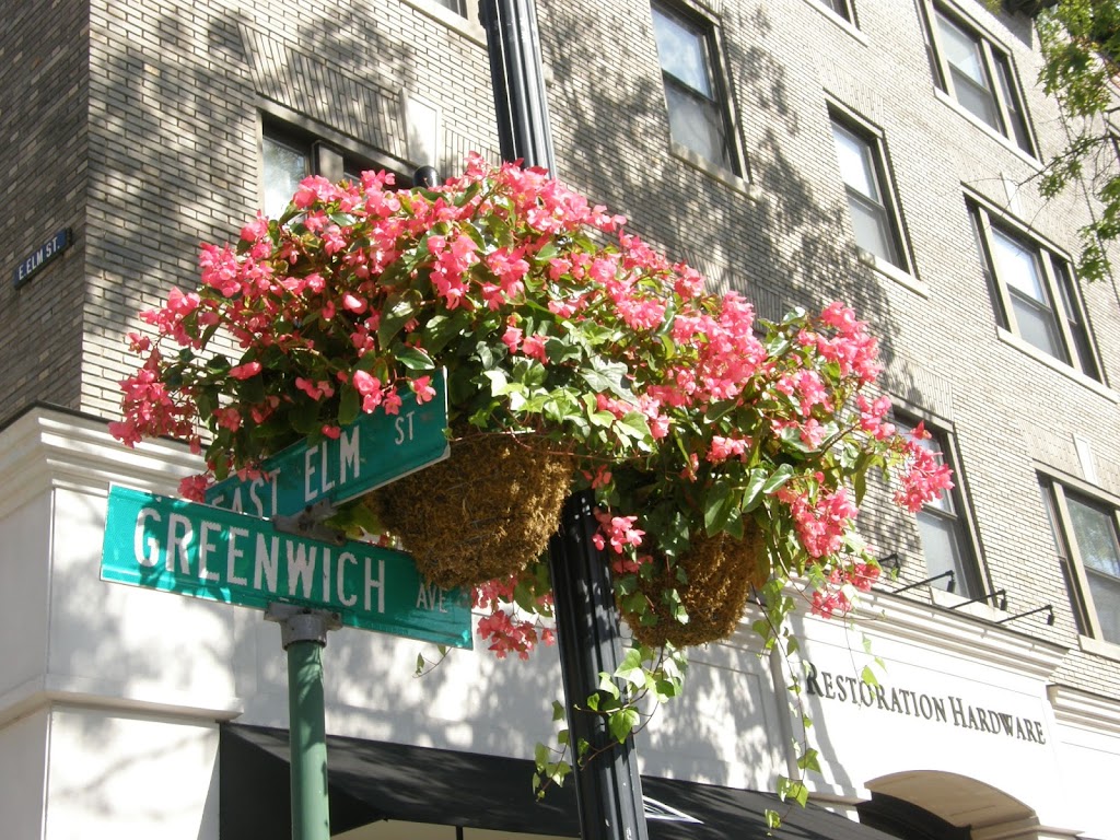 Greenwich Green & Clean | 113 Pemberwick Rd, Greenwich, CT 06831 | Phone: (203) 531-0006