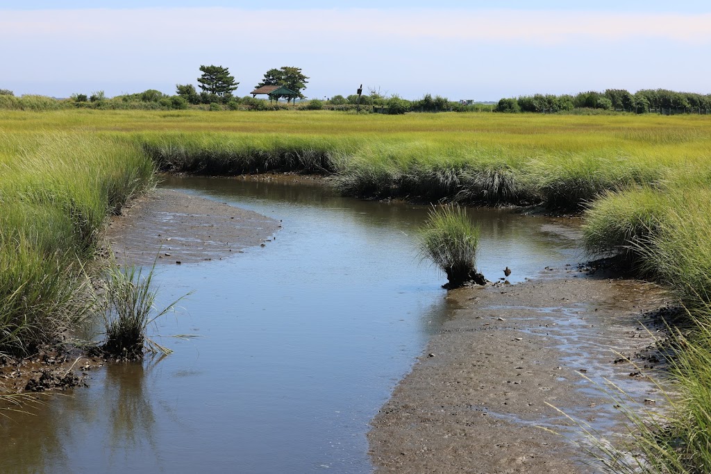 Marine Nature Study Area | 500 Slice Dr, Oceanside, NY 11572 | Phone: (516) 766-1580